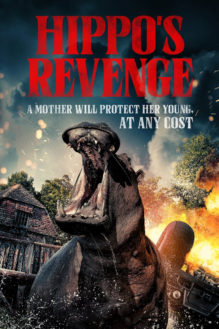 فيلم Hippo's Revenge 2025 مترجم
